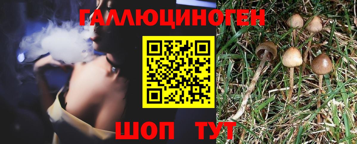 Выкса  Псилоцибиновые грибы Psilocybine cubensis  Галлюциногенные грибы Psilocybine cubensis  Вход с VPN 