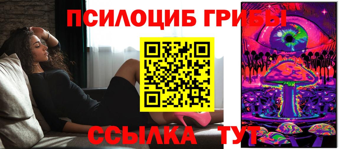Псилоцибиновые грибы Cubensis Выкса